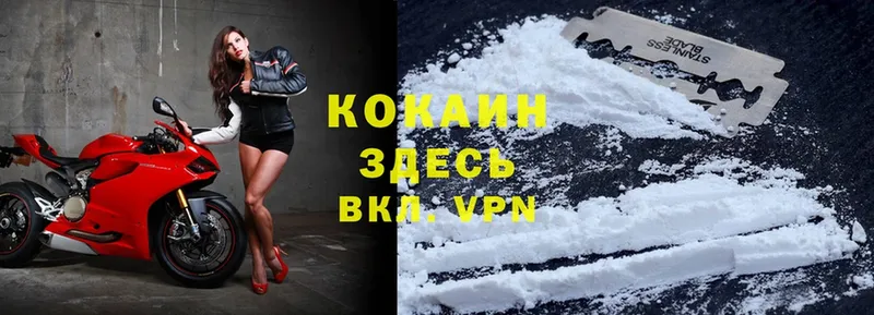 kraken онион  Пушкино  Cocaine Эквадор 